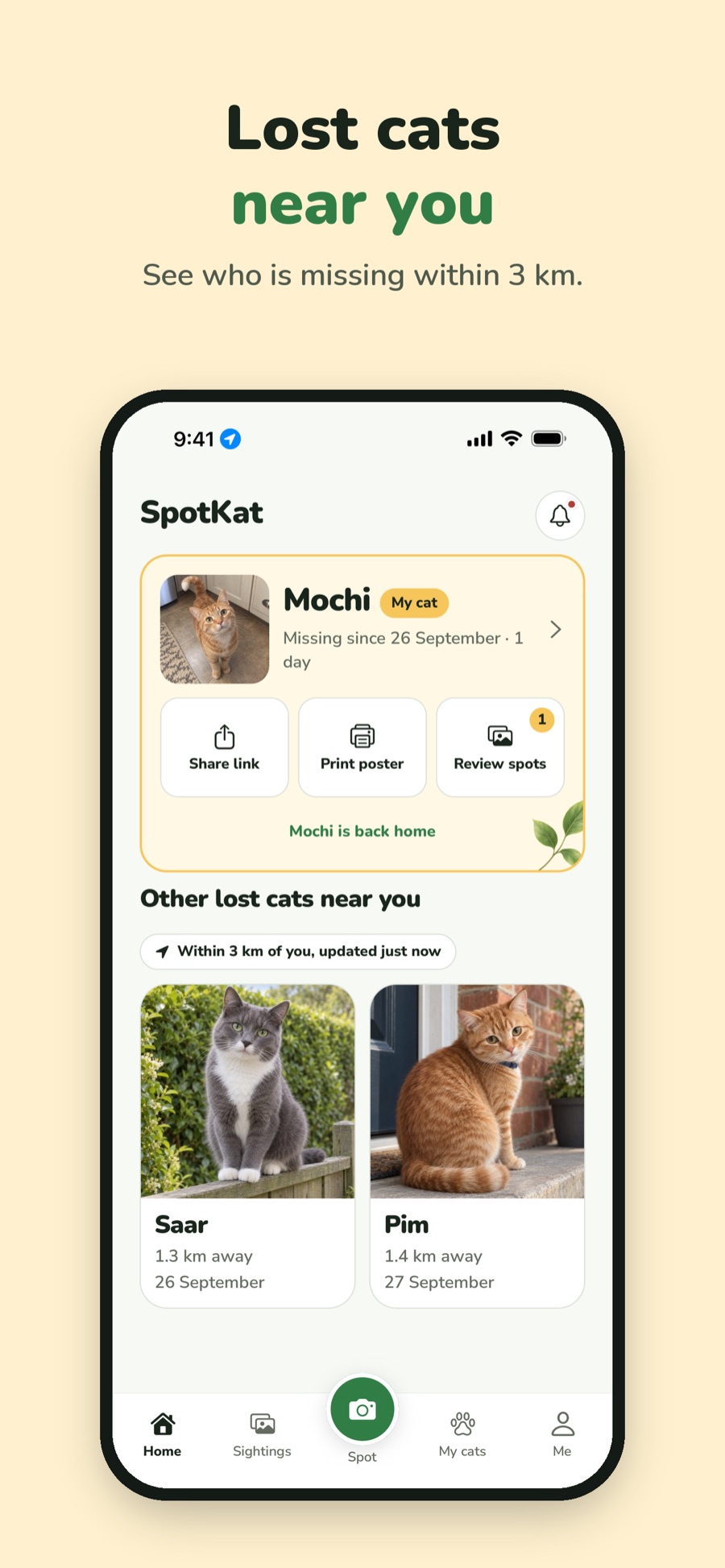 Home: your lost cat and other lost cats within 3 km