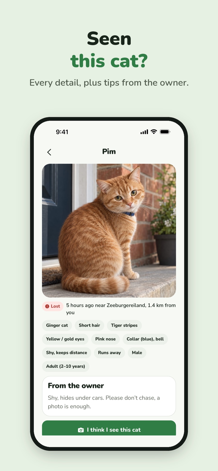 Lost cat profile with traits and tips from the owner