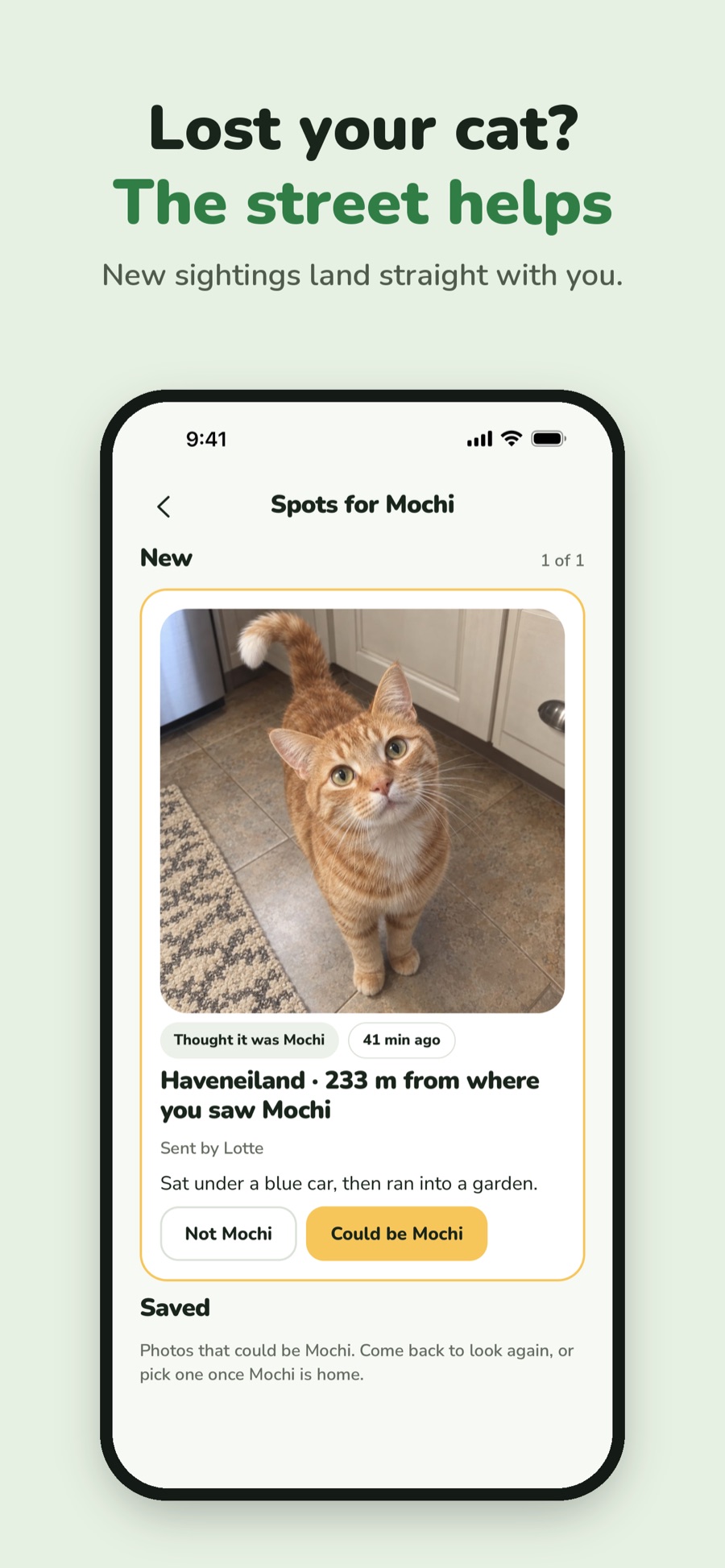 Owner reviewing a sighting that could be their cat